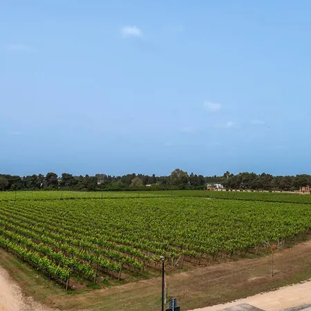 Tenuta Vigna Corallo - Dalia * Otranto